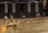 Deutsches Derby Hamburg 2014 (1001)